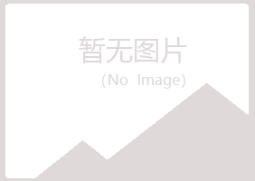 榆林夏日能源有限公司